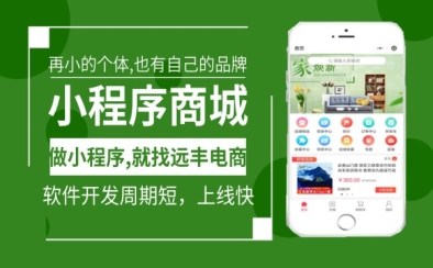 小程序软件助力企业数字化转型与SEO流量增长的核心逻辑