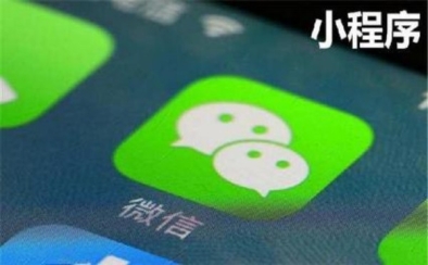定制vs模板：{fenzhan}小程序开发的长期价值之争